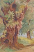 Forest scene, possibly the Major Oak, Sherwood Forest, monogrammed, C19th watercolour, 35 x 42cm