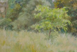 A forest glade, attributed verso to 'Simmonds', oil on board, 51 x 32cm