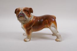 A painted cast iron bull dog, 22cm long