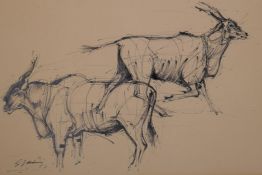 George Voudouris, Animalier study, Australian Gallery label verso, signed pen and ink drawing,