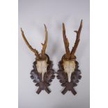 A pair of wall mounted deer skulls on carved wood plaques decorated with oak leaves and acorns,