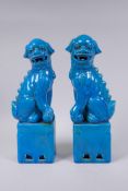 A pair of Chinese turquoise glazed porcelain fo dogs, 32cm high