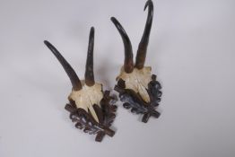 A pair of wall mounted goat skulls on carved wood plaques decorated with oak leaves, 14 x 19cm