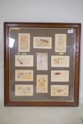 Ten WWI silk postcards framed with a photograph portrait of a British soldier