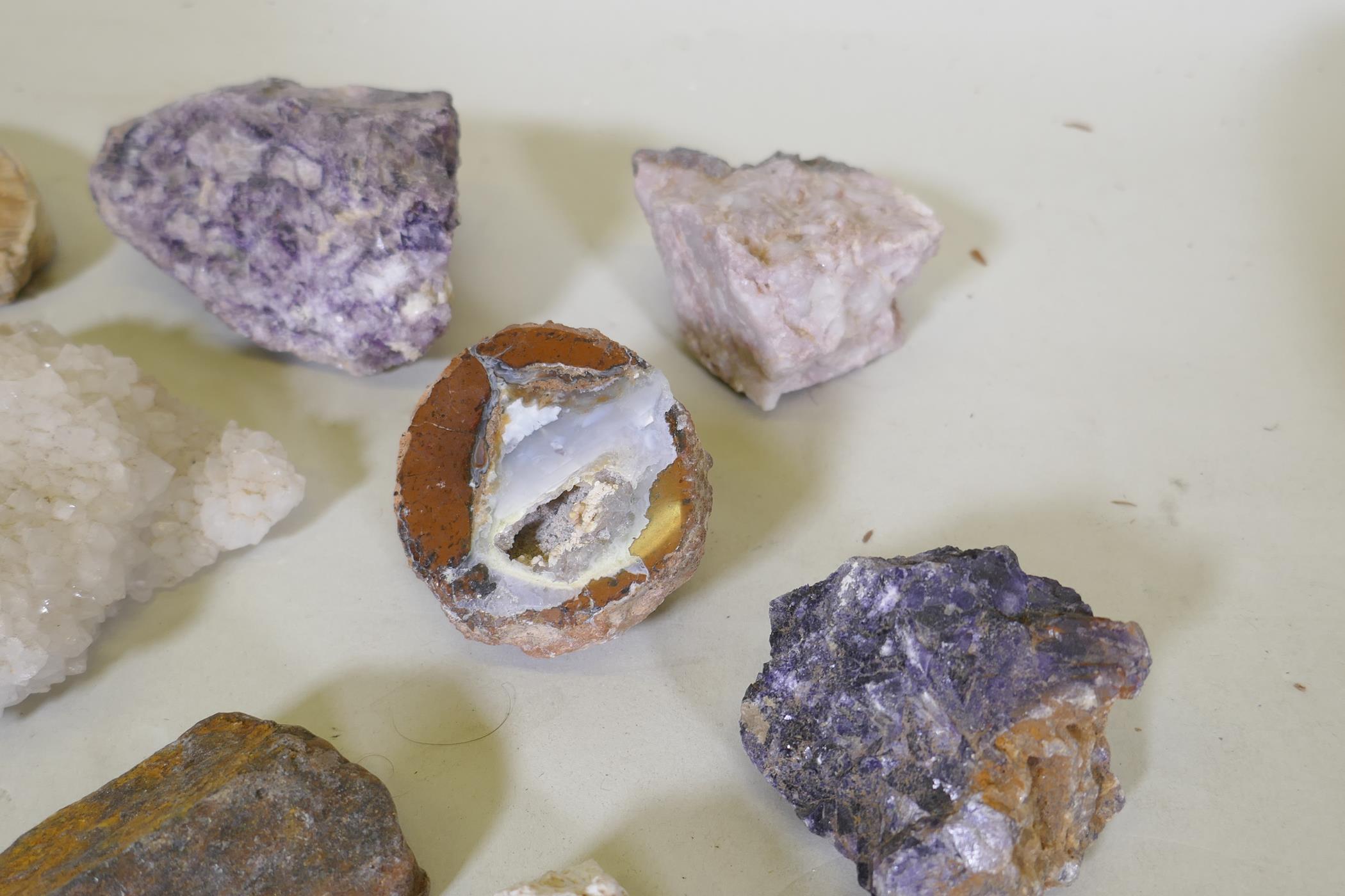 Collection of geodes, fossils, agates and quartz etc, largest 9cm long - Image 5 of 5