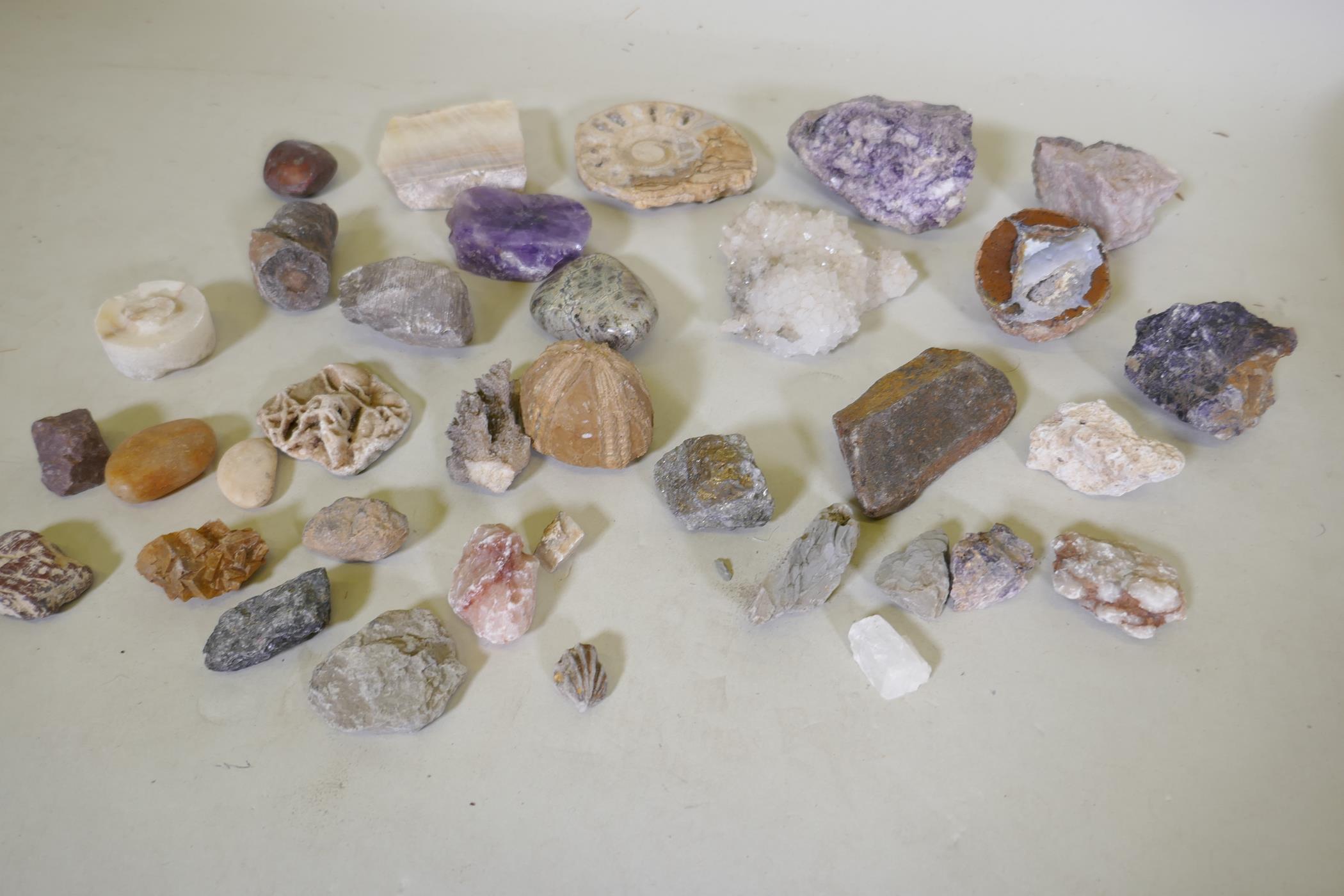 Collection of geodes, fossils, agates and quartz etc, largest 9cm long