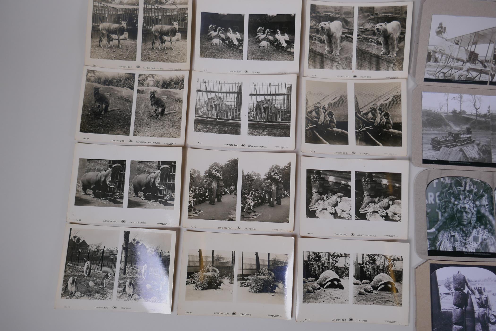 A part set of London Zoo 'Sunbeam Tours' photographic stereo cards, and a quantity of re-print - Image 2 of 4