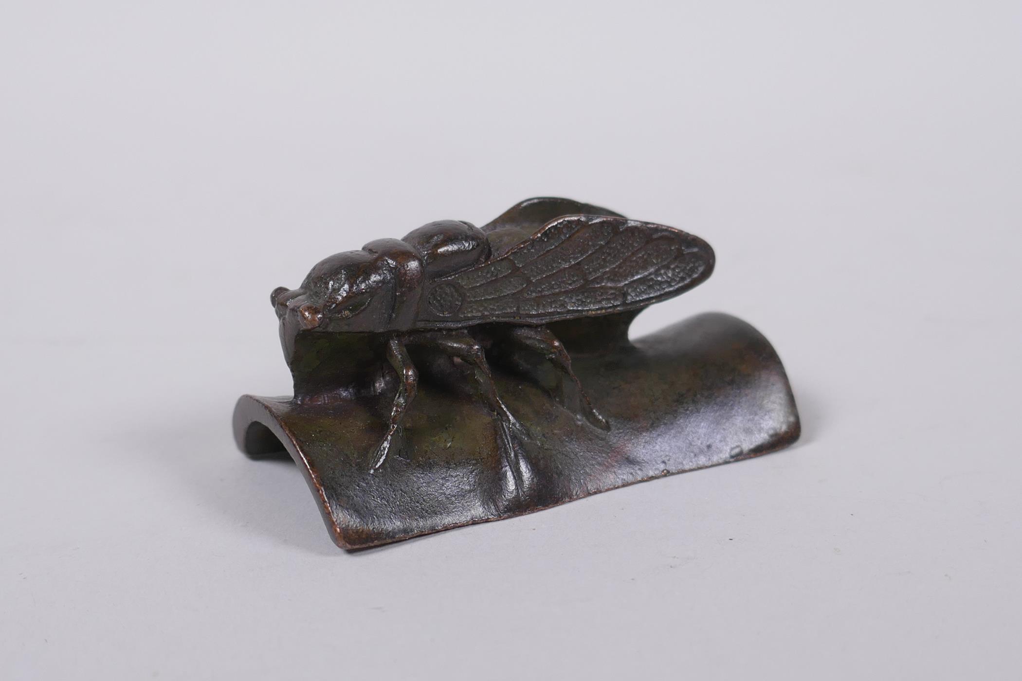A Japanese bronze okimono cicada on bamboo, signed to base, 6cm