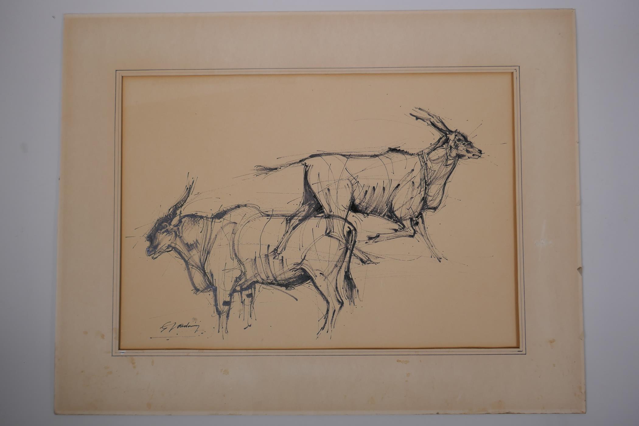George Voudouris, Animalier study, Australian Gallery label verso, signed pen and ink drawing, - Image 2 of 5