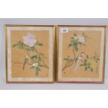 A pair of Chinese watercolours on silk depicting birds and flowers, 20 x 25cm