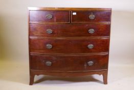 George III mahogany bowfront chest of two over three drawers with cockbeeded detail and brass