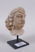A Gandahar style plaster bust of a gentleman, 13cm high
