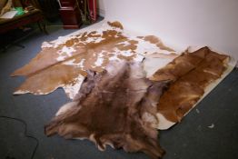 Three animal hide rugs, cow, goat and wolf, largest 196 x 230cm