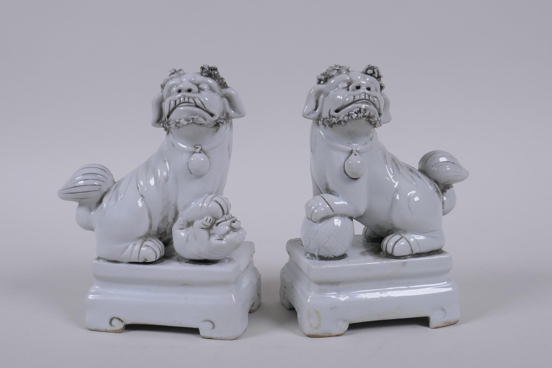 A pair of Chinese blanc de chine porcelain temple lions, 13cm high