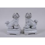 A pair of Chinese blanc de chine porcelain temple lions, 13cm high