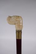 A bone handled walking stick carved in the form of a dog's head, 90cm long