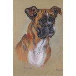 Marjorie Cox, (1915-2003), portrait of a bull dog, titled Benjamin 1971, signed, pastel drawing,