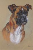 Marjorie Cox, (1915-2003), portrait of a bull dog, titled Benjamin 1971, signed, pastel drawing,