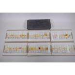 A collection of scientific microscope slides, all with annotations and labels, many dated 1947,