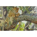 Stan Bathurst, leopard lounging in the boughs of a tree, oil on board, 68 x 56cm