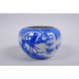 A Chinese Qing dynasty blue and white porcelain pot with rolled rim and decorated with asiatic birds