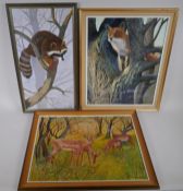 Stan Bathurst, racoon in a tree, fox in a tree and deer in a glade, three oils on board, largest