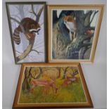 Stan Bathurst, racoon in a tree, fox in a tree and deer in a glade, three oils on board, largest