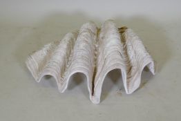 A resin cast model of a clam shell, 74cm wide