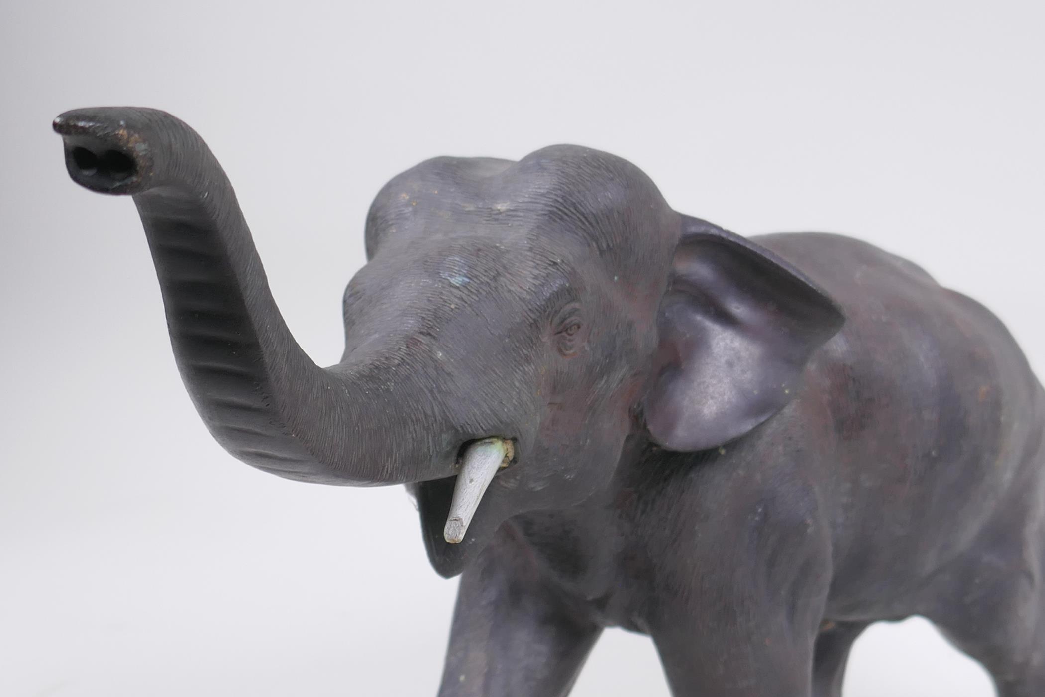 An Austrian style cold painted bronze figure of an elephant, 36cm long, 21cm high - Image 3 of 6