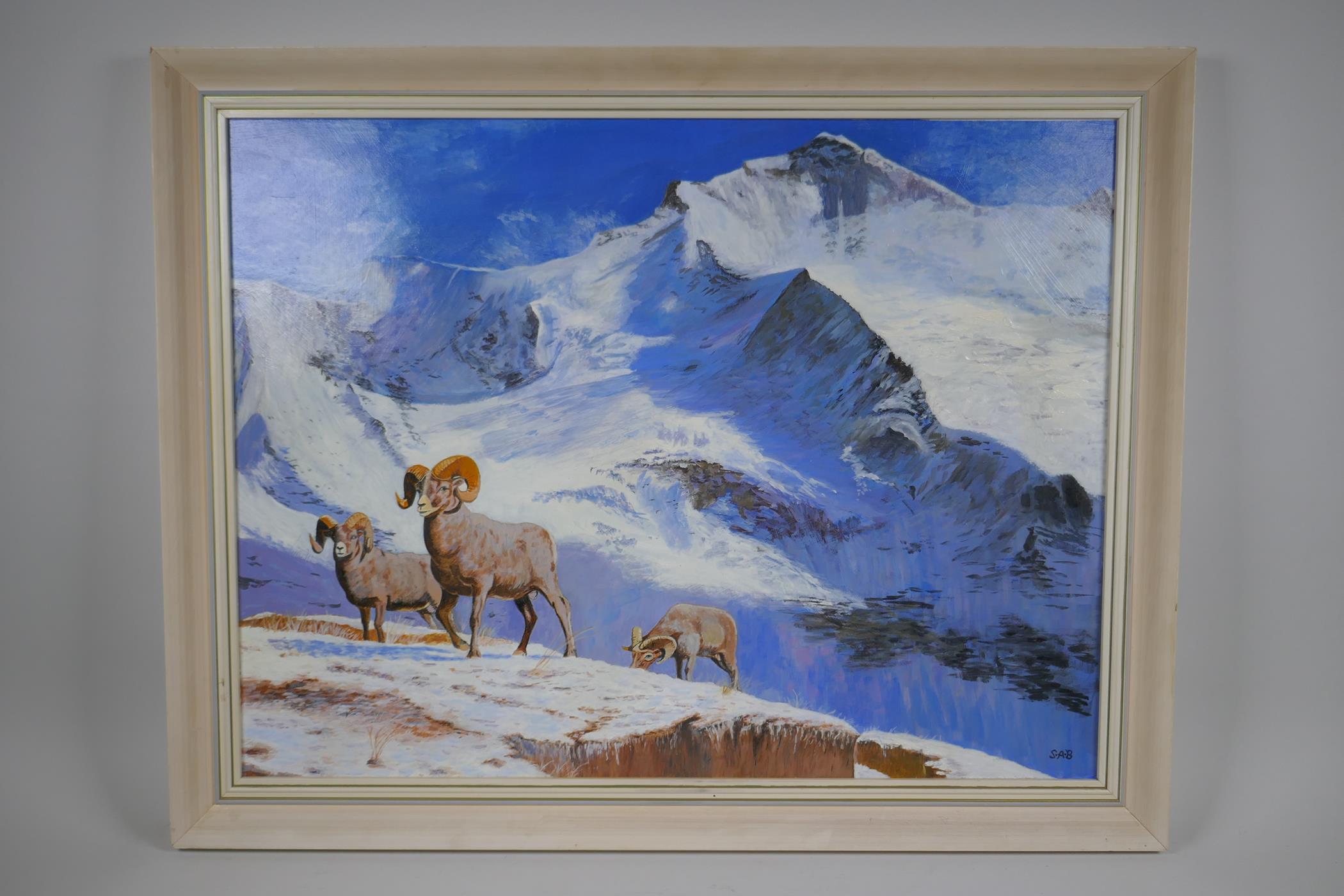 Stan Bathurst, Bighorns on a snowy mountain, oil on board, 68 x 52cm - Image 2 of 4