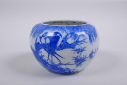 A Chinese Qing dynasty blue and white porcelain pot with rolled rim and decorated with asiatic birds