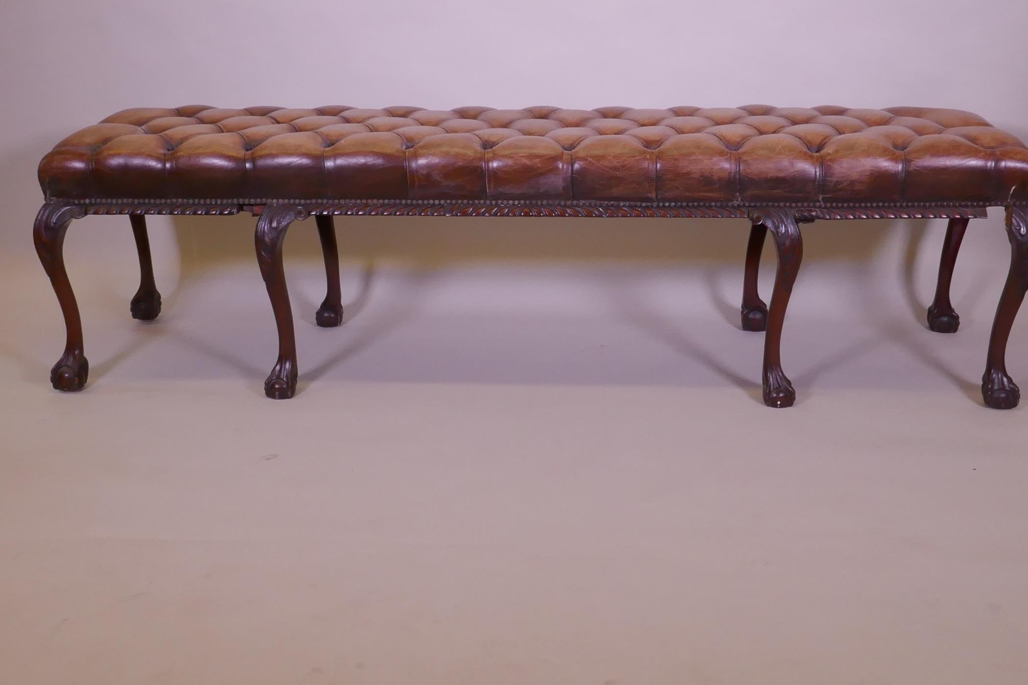 A mahogany bench raised on cabriole legs with claw and ball feet and a buttoned leather seat, 192 - Image 5 of 5