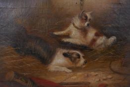 George Armfield (British, 1808-1893), Trapped, two terriers in a barn with a trap, signed, oil on