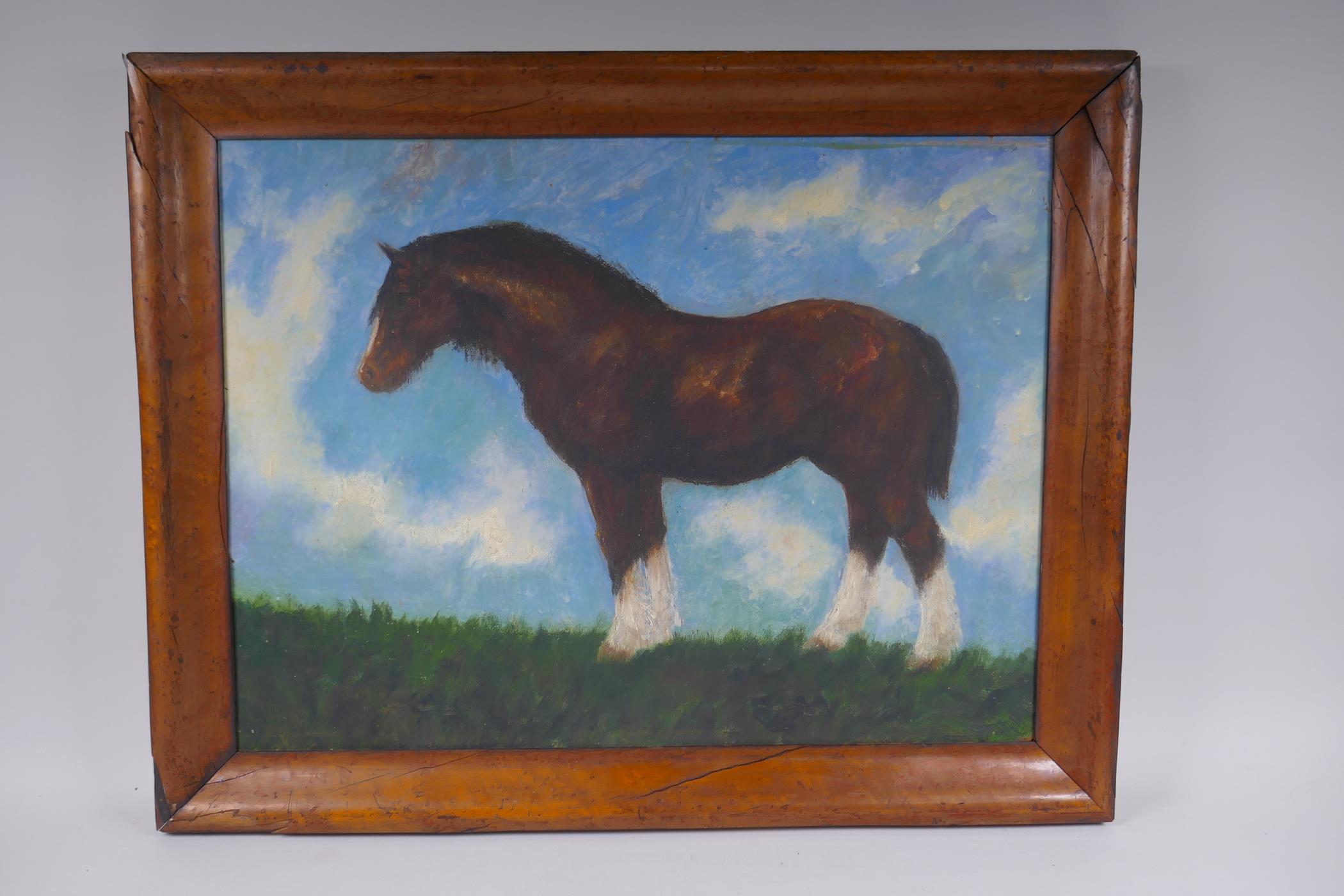 Study of a shire horse, oil on board in a maple wood frame, 43 x 58cm - Image 2 of 4