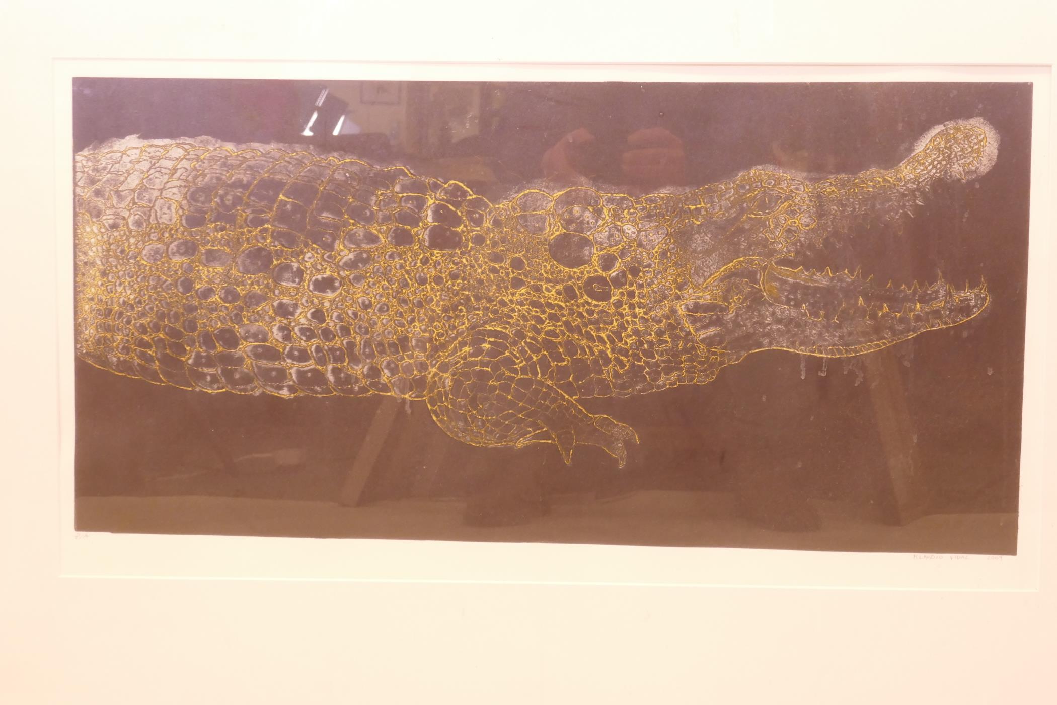 Klaudio Vidal, engraving, crocodile, artist's proof, signed, 74 x 41cm - Image 2 of 5