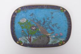 A Chinese cloisonne enamel tray decorated with a pheasant and flowers, 19 x 13cm