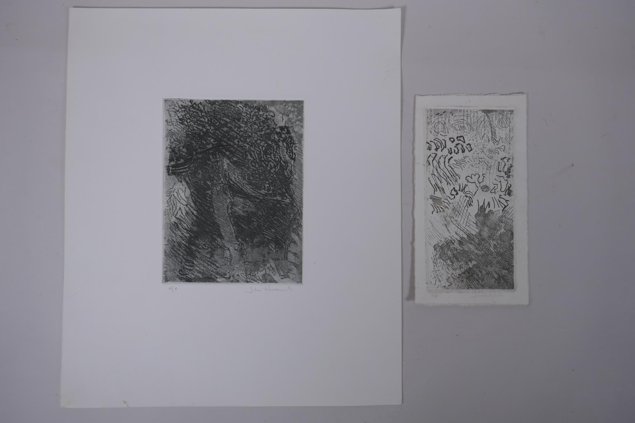 John Hubbard (American, 1931-2017), two abstract Artist Proof etchings, pencil signed; Provenance: