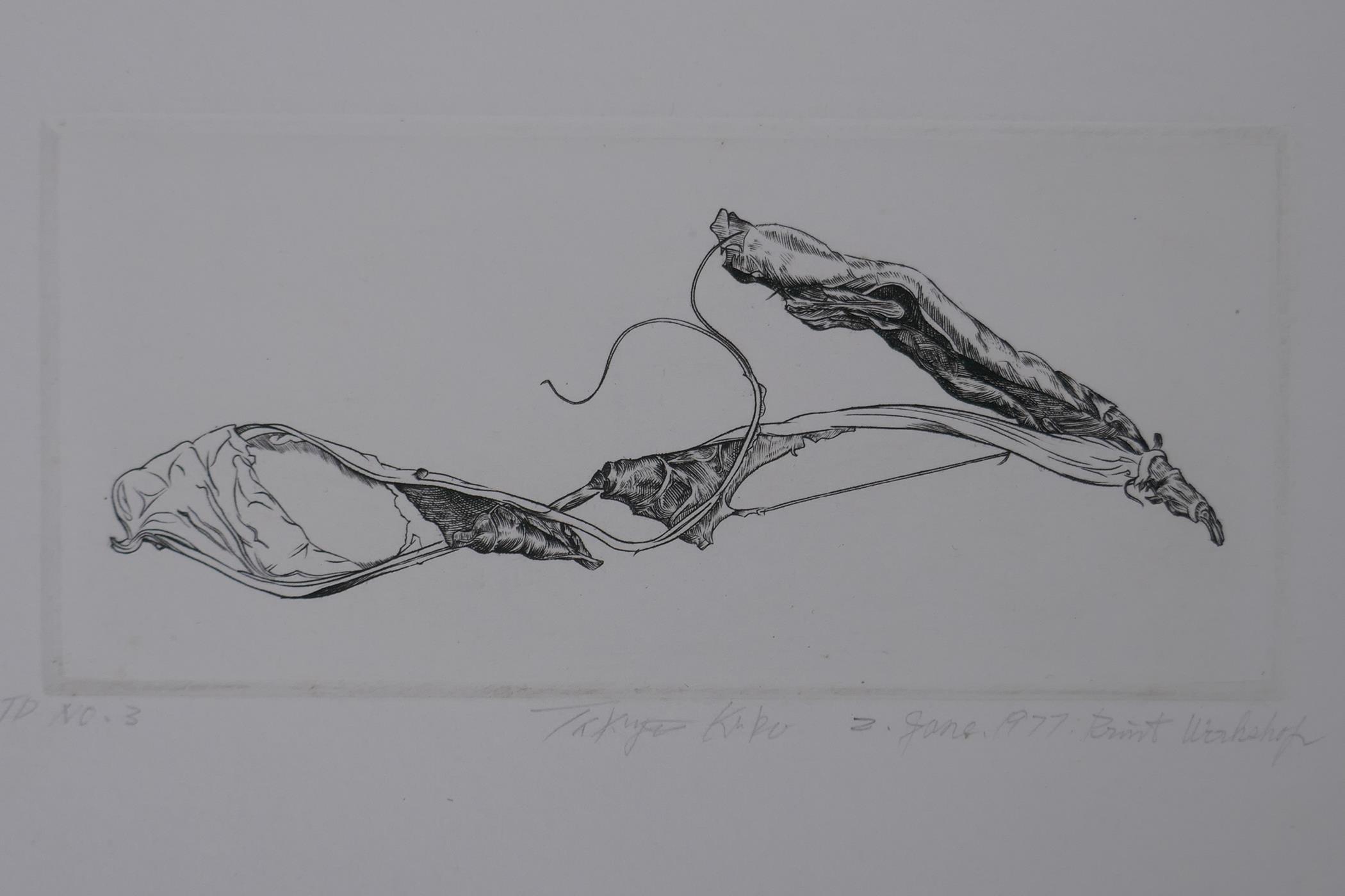 Takuji Kubo (Japanese, b.1948), Dry Bean, 1977, engraving, pencil signed; Provenance: Ex-studio of