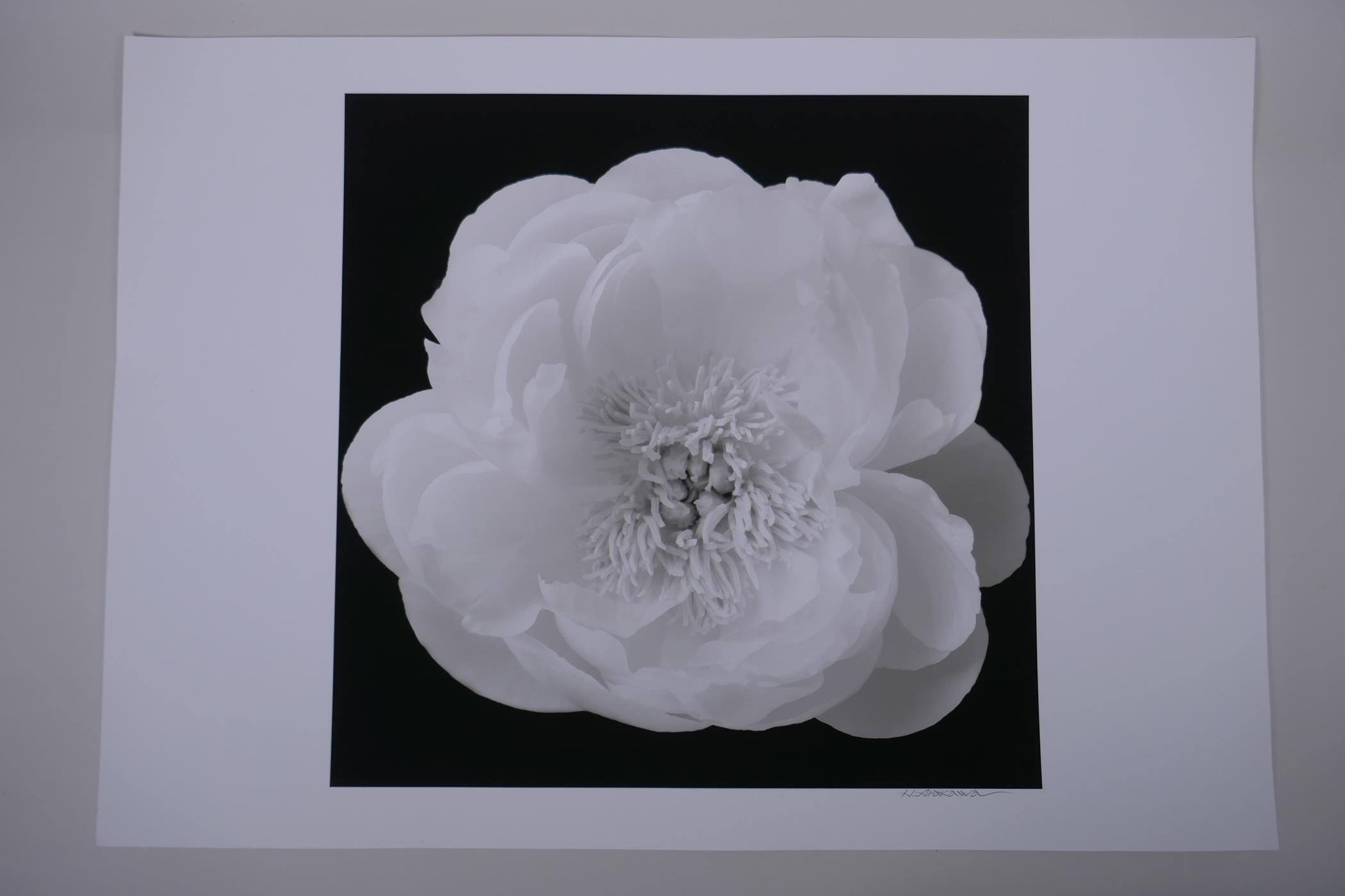 Hiroyuki Arakawa, (Japanese, b.1951), The Unfolding, pencil signed photographic print from his - Image 2 of 3