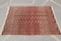 An antique wool terracotta ground bokhara carpet, 148 x 226cm