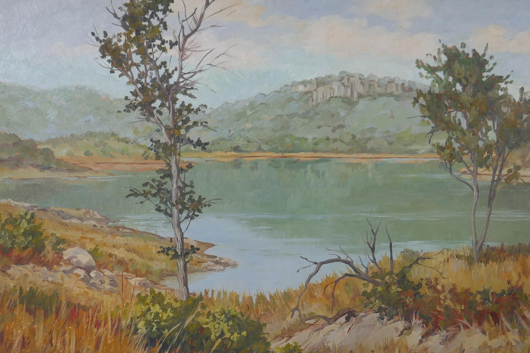 V. d. Linde, view across a lake, possibly Bass Lake, Pretoria (Pretoria label verso), signed oil