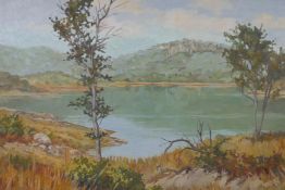 V. d. Linde, view across a lake, possibly Bass Lake, Pretoria (Pretoria label verso), signed oil