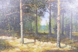 T. Werner, summer landscape in a pine forest, signed, oil on canvas, 99 x 64cm