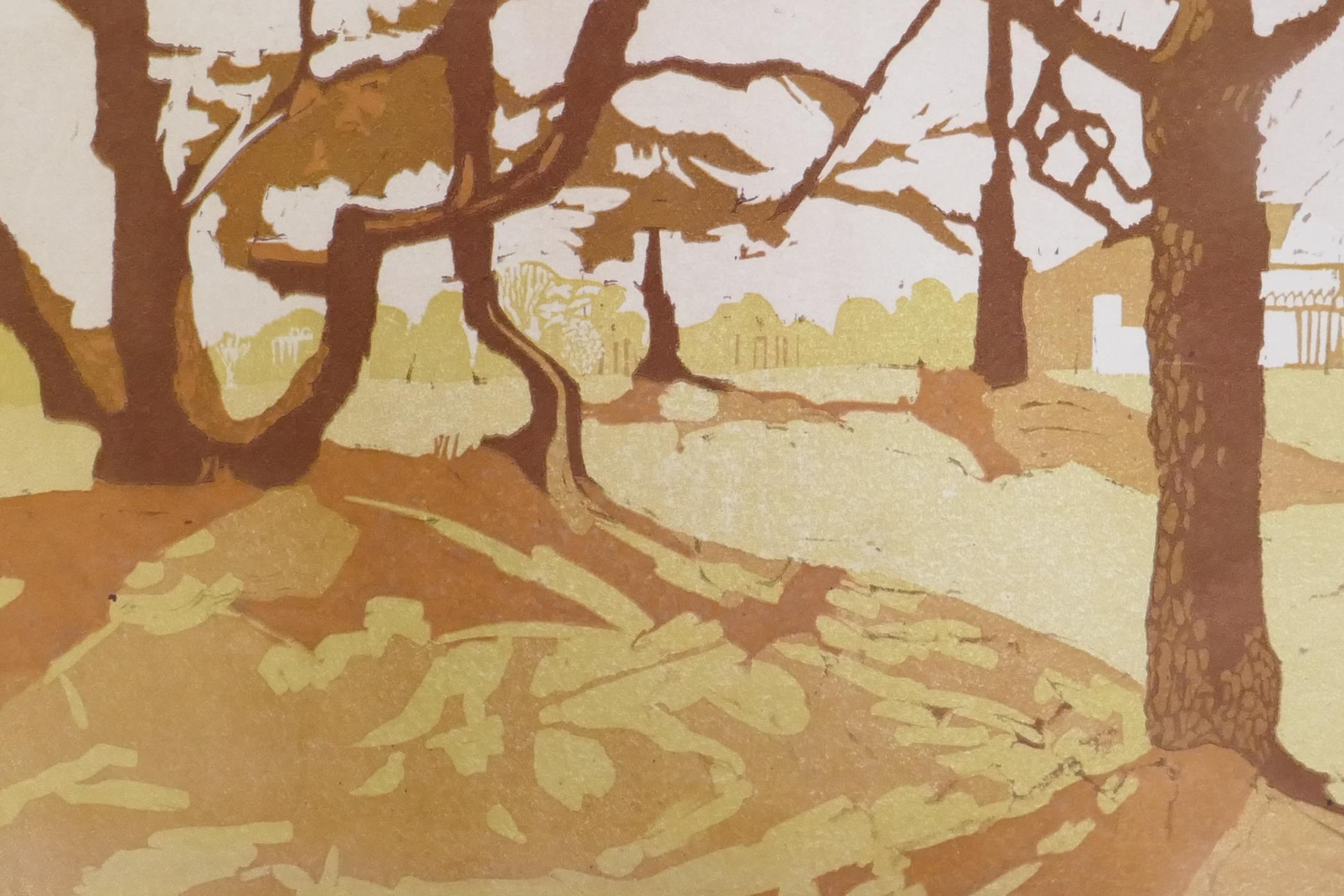 Caroline Whitehead (British), view through autumnal trees, lithoprint, pencil signed to mount, - Image 2 of 7