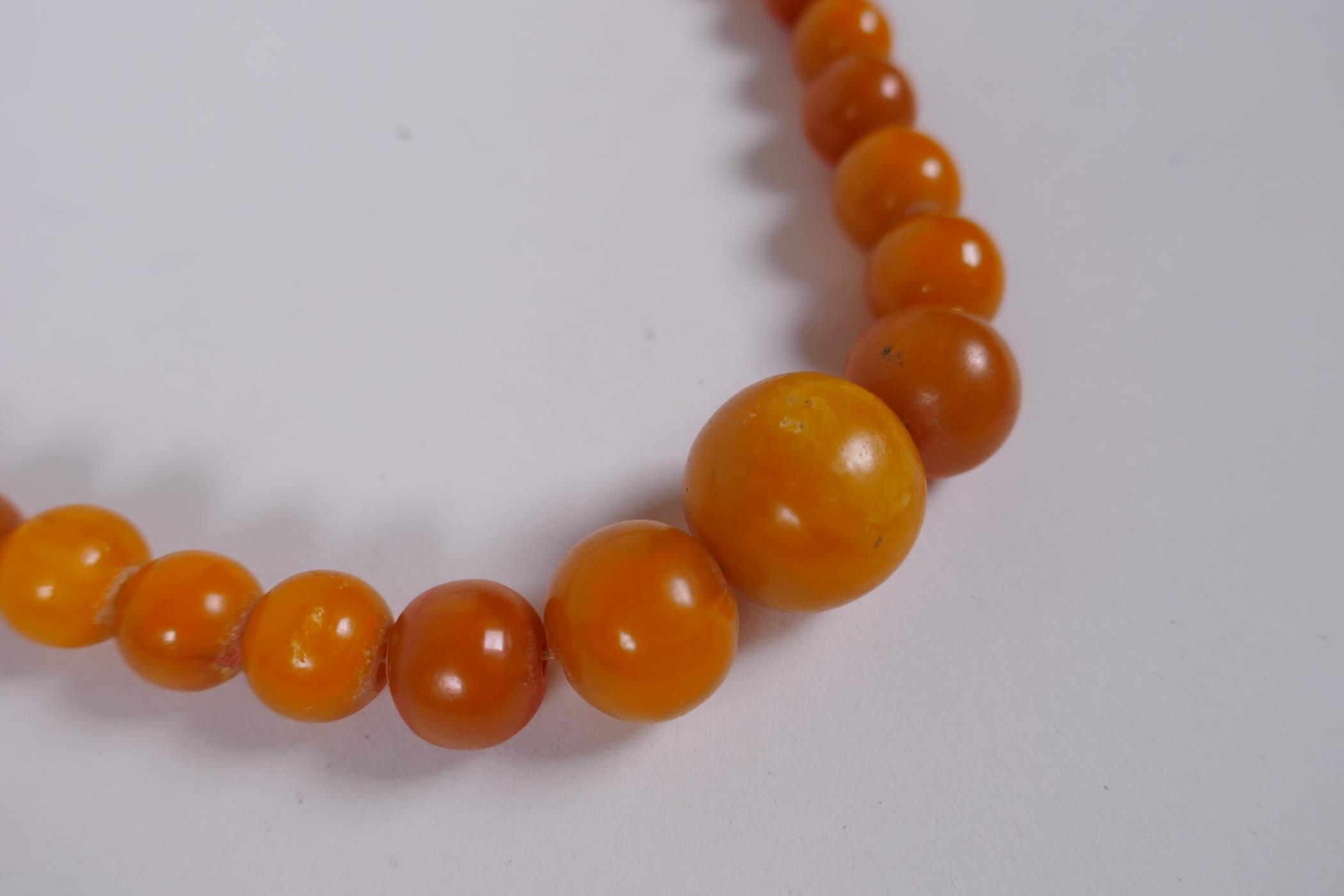 A graduated amber bead necklace, 54cm long - Image 2 of 6