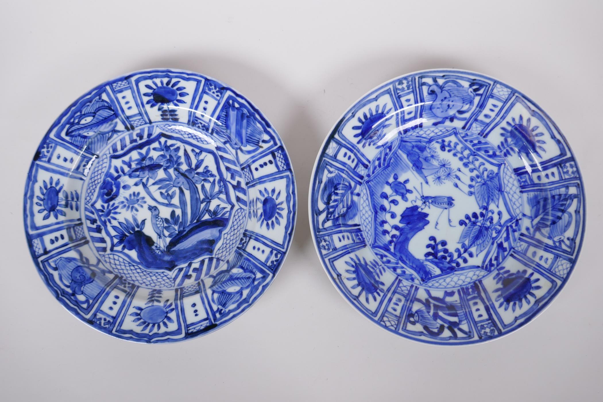 A pair of Chinese blue and white Kraak porcelain cabinet plates decorated with insects and birds