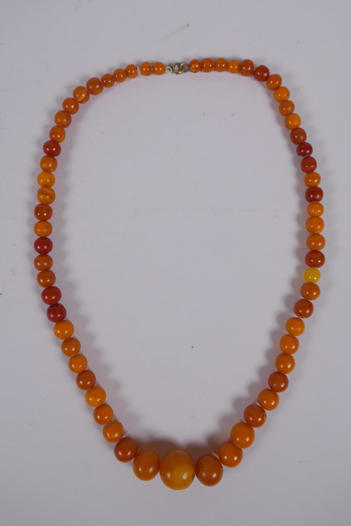 A graduated amber bead necklace, 54cm long