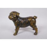 A gilt bronze pug dog, 21cm long