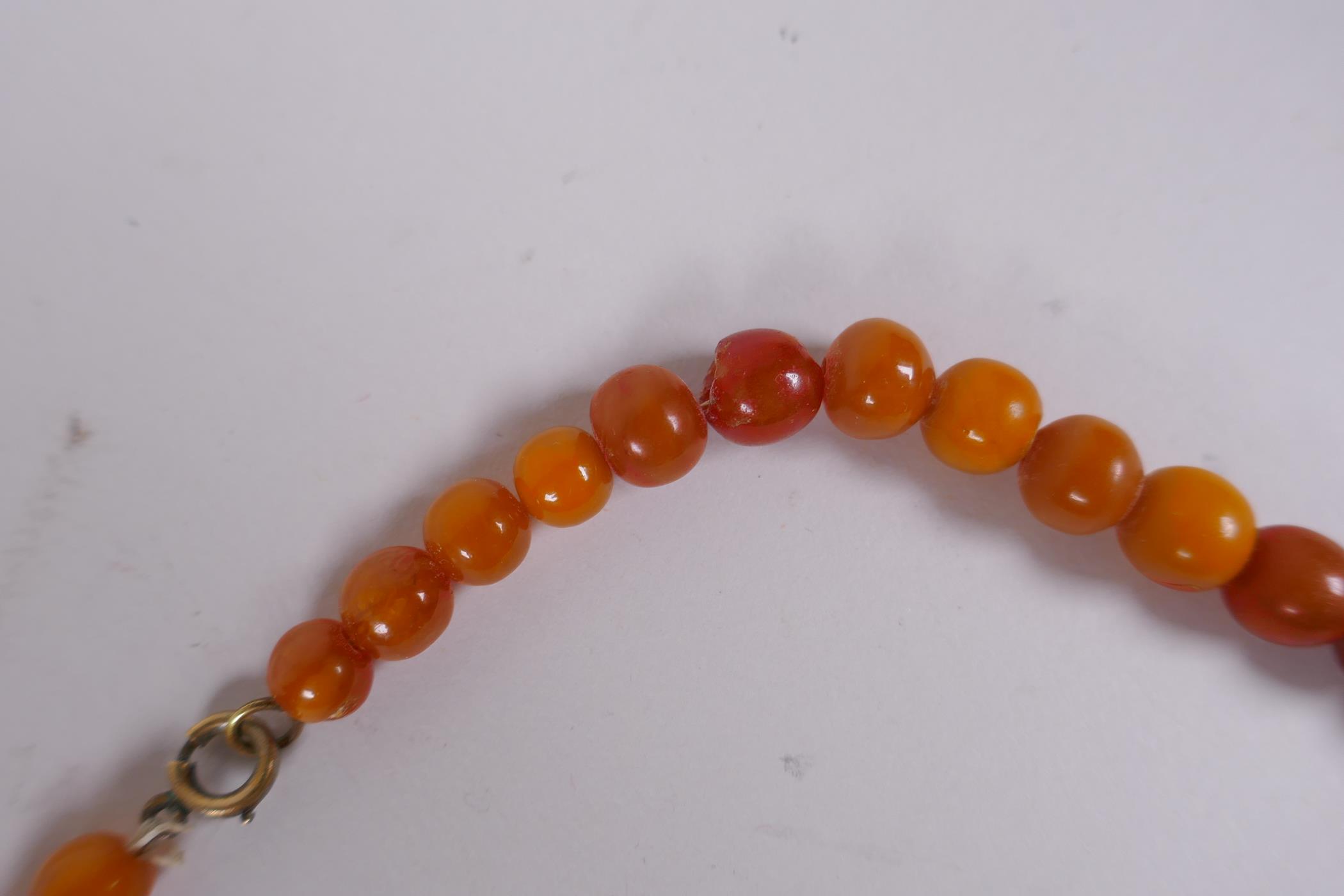 A graduated amber bead necklace, 54cm long - Image 5 of 6