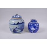 A late C19th/early C20th Chinese blue and white porcelain ginger jar and associated cover, decorated